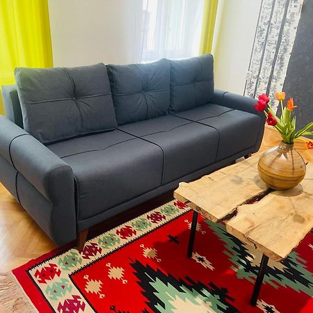 Spacious Stylish Apartment In Old Town Сибиу Экстерьер фото
