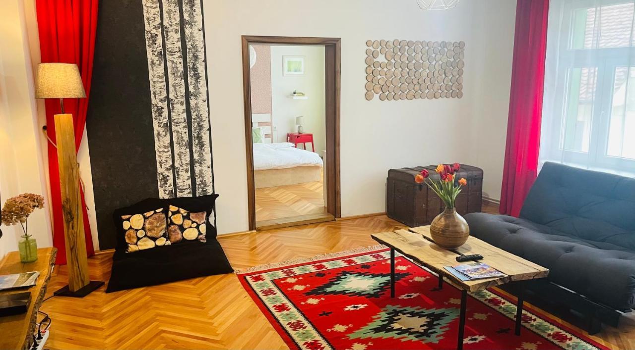 Spacious Stylish Apartment In Old Town Сибиу Экстерьер фото