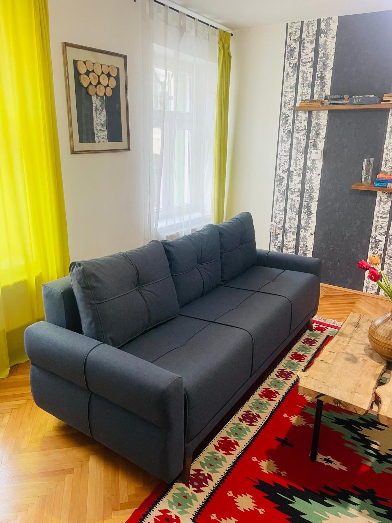 Spacious Stylish Apartment In Old Town Сибиу Экстерьер фото