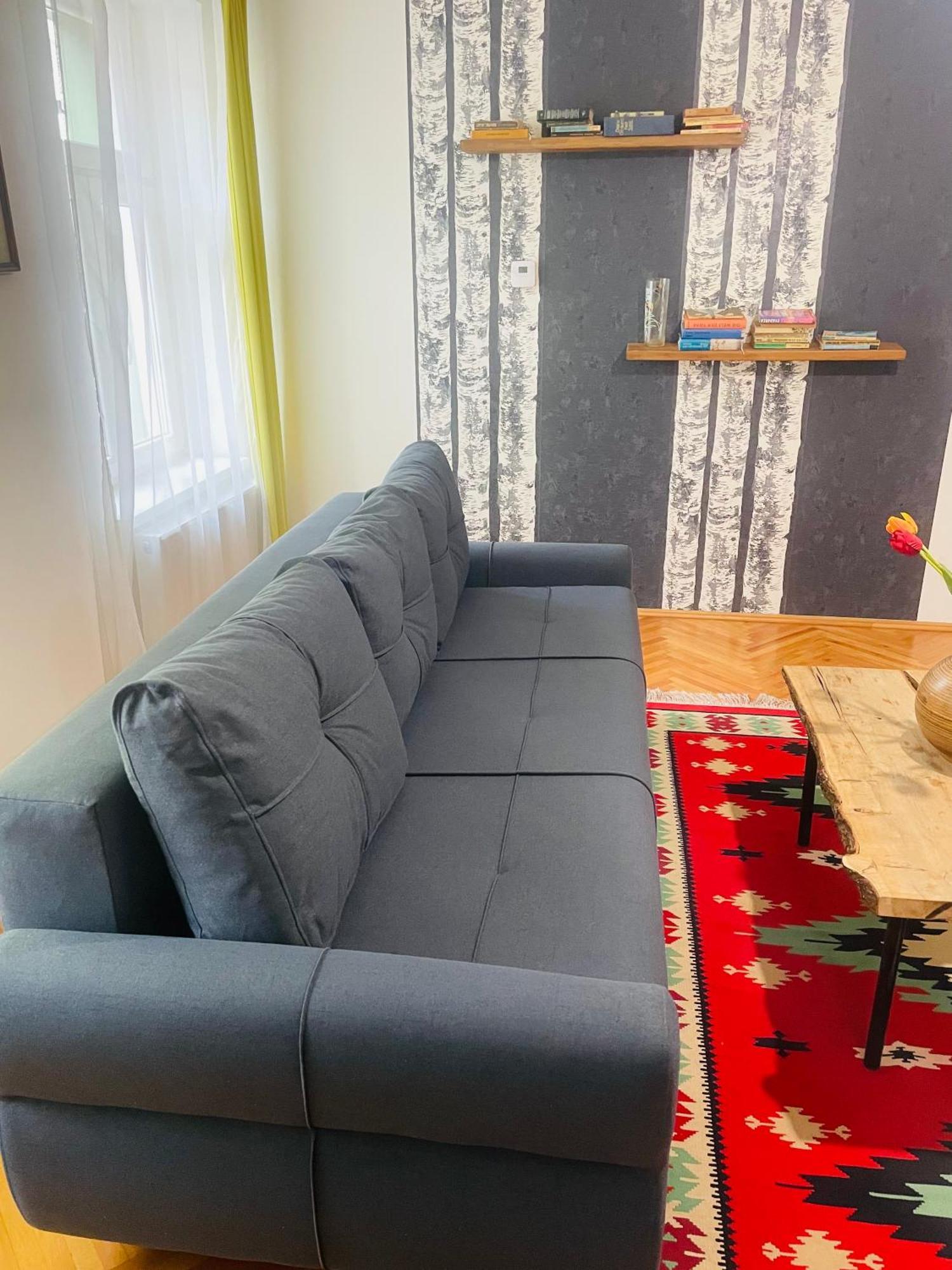 Spacious Stylish Apartment In Old Town Сибиу Экстерьер фото