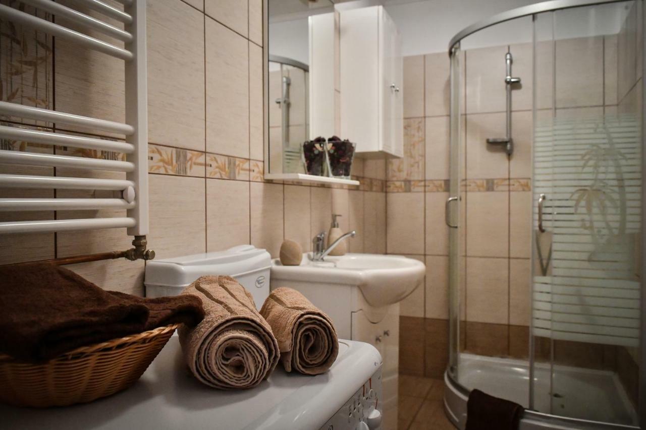 Spacious Stylish Apartment In Old Town Сибиу Экстерьер фото